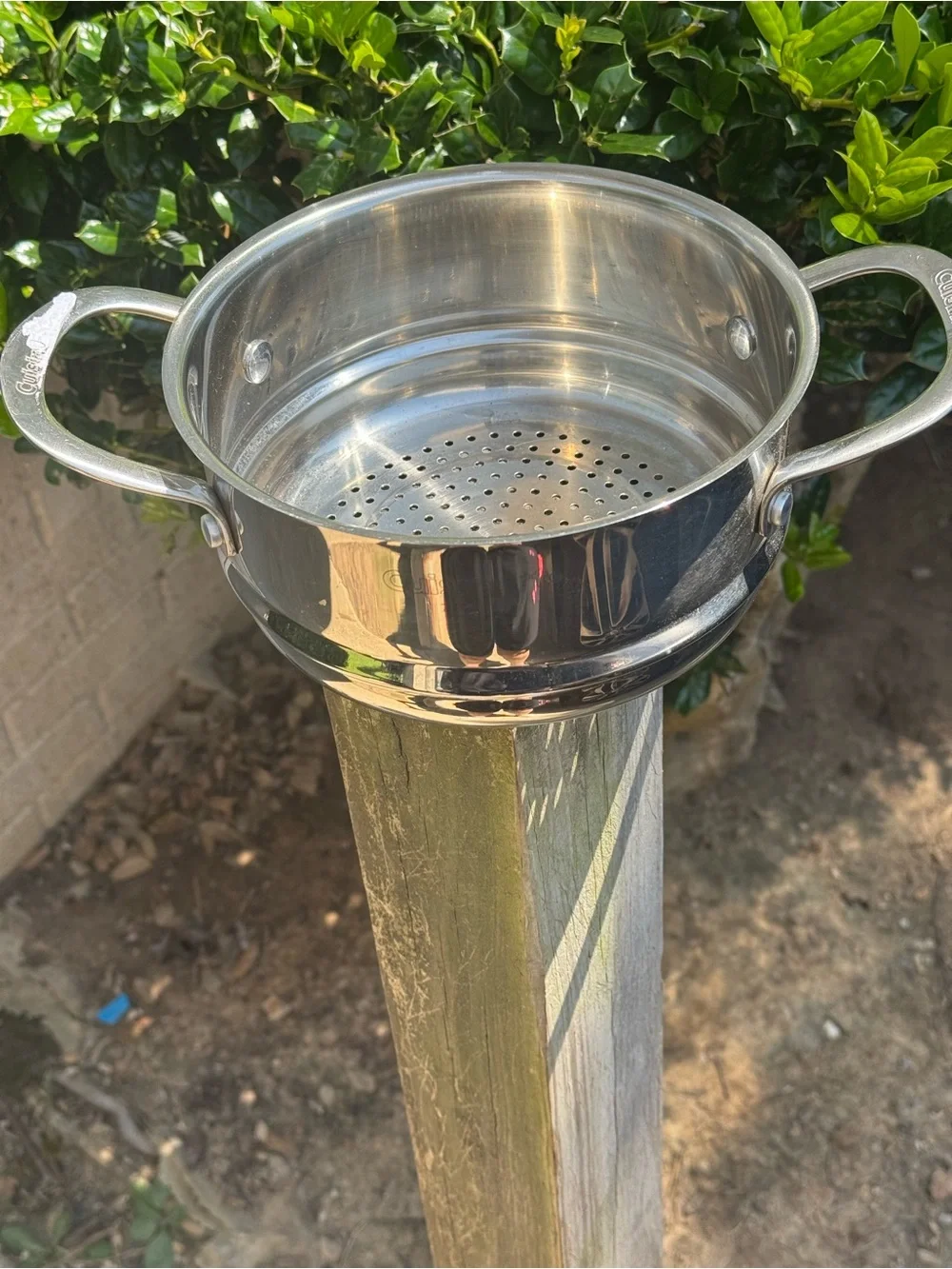 Stainless Steel Steamer Insert with Handles